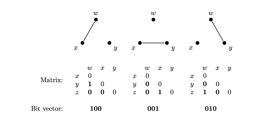Graph and bit-vector representations used by Graphettes
